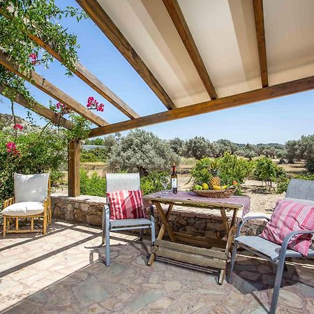 Sunny Countryside Villa - With Private Pool Faliraki Buitenkant foto
