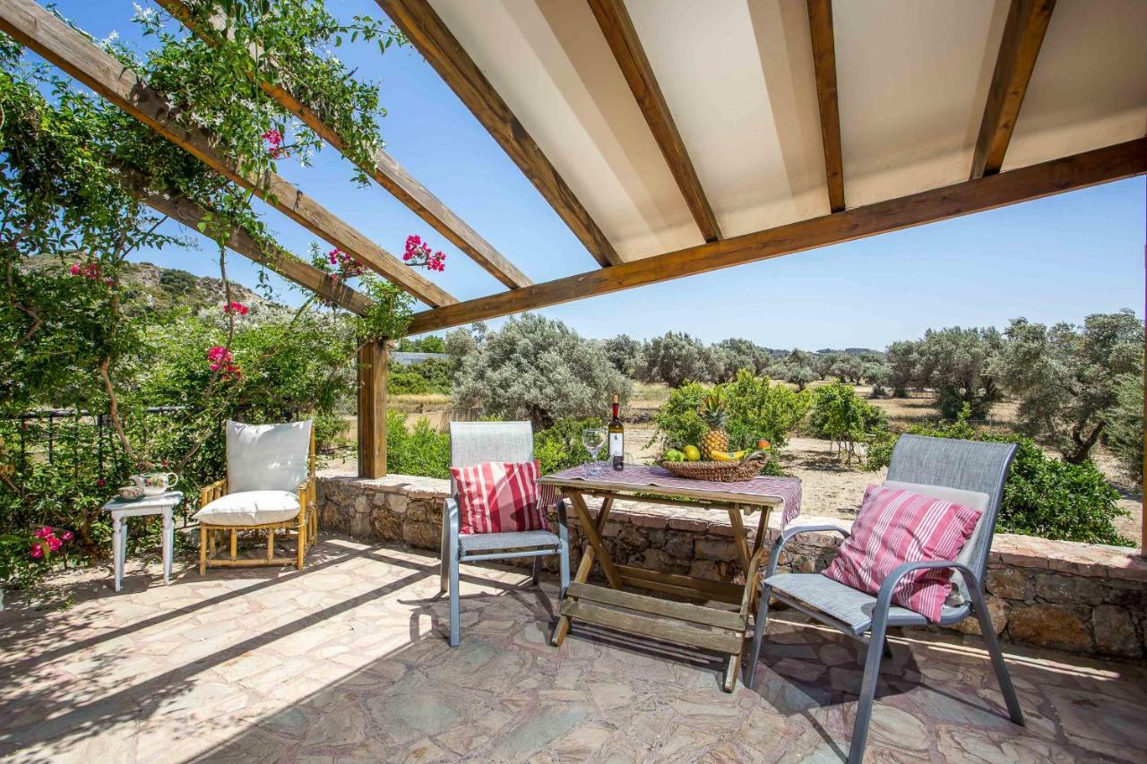 Sunny Countryside Villa - With Private Pool Faliraki Buitenkant foto